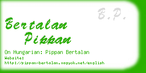 bertalan pippan business card